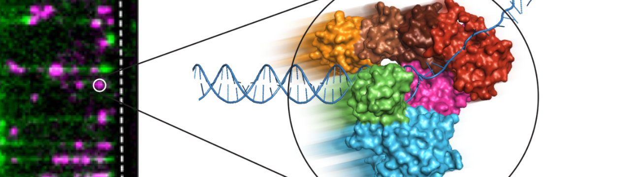 Nano-Integrated Molecular Imaging for Therapeutic Innovation