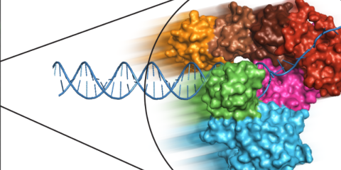 Nano-Integrated Molecular Imaging for Therapeutic Innovation