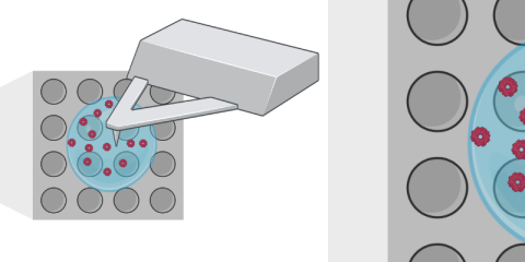Femto-liter volume sample preparation for cryo-electron microscopy