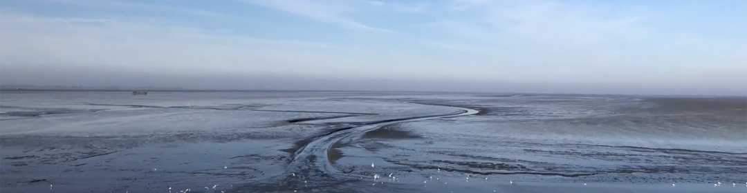 Sediment als sleutel naar weerbare watersystemen