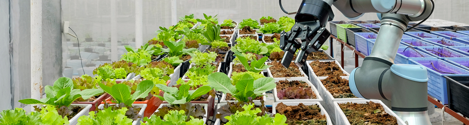 Samenwerking KIA ST en KIA LWV voor beoogde NWO KIC-call Robotica in Agri, Food en Horti